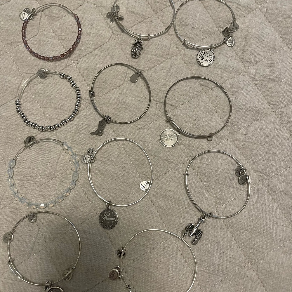 Alex and Ani Silver Charm Bracelet Collection